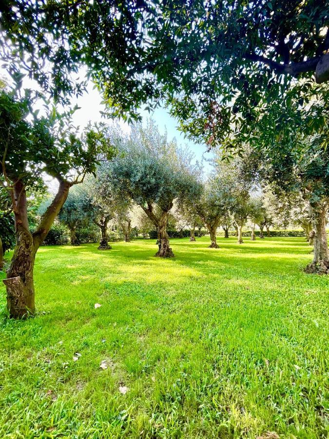 Il Giardino Di Athena
