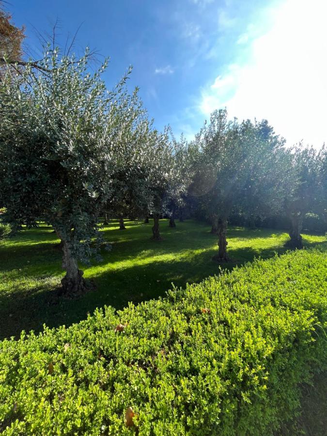 Il Giardino Di Athena *