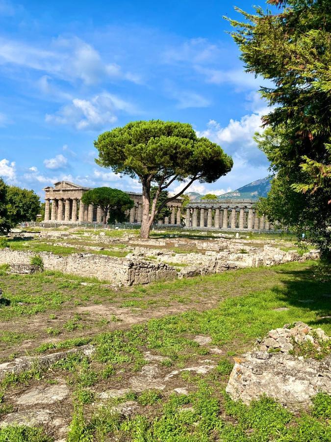 Holiday home Il Giardino Di Athena *