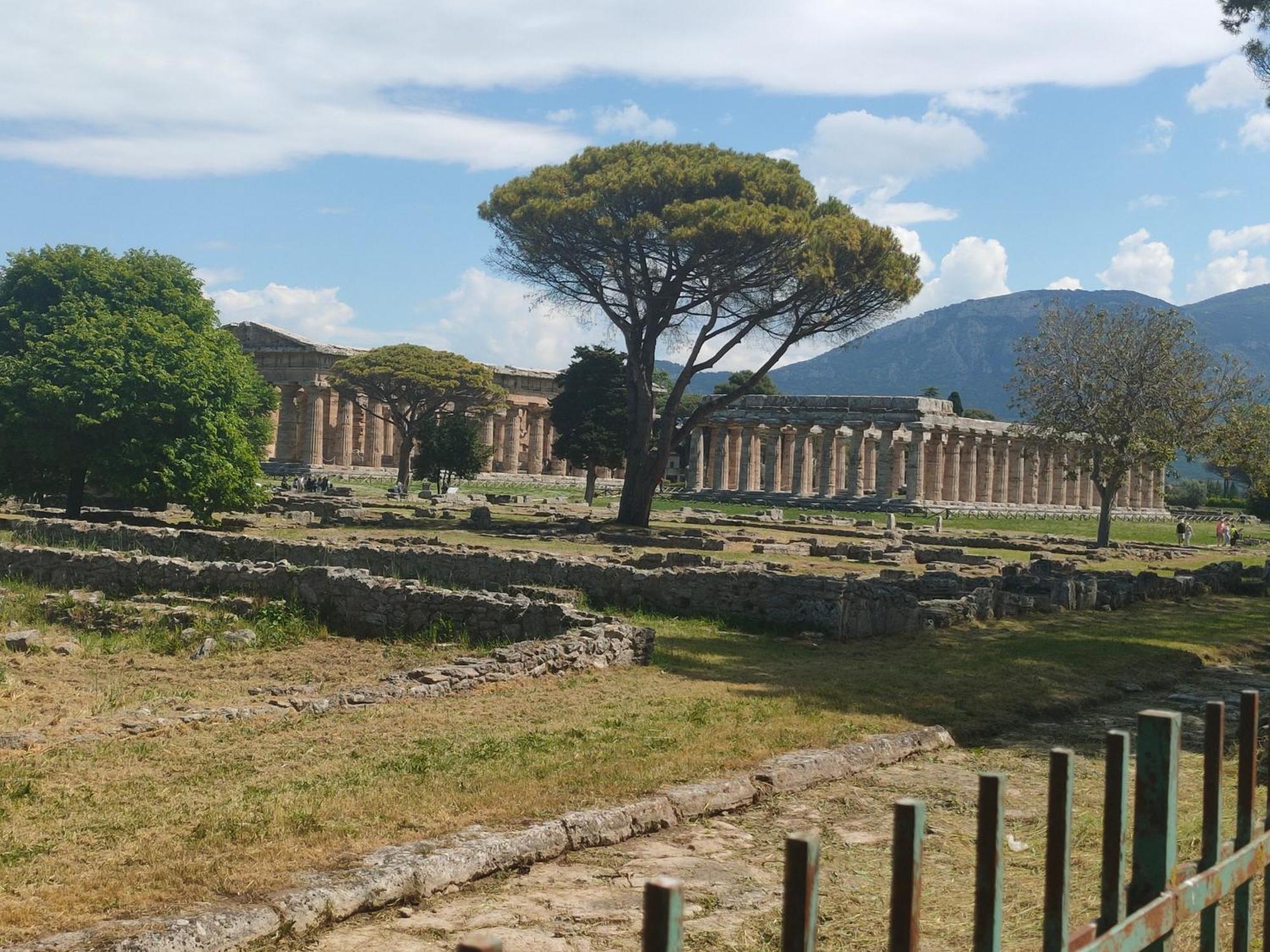 Il Giardino Di Athena *