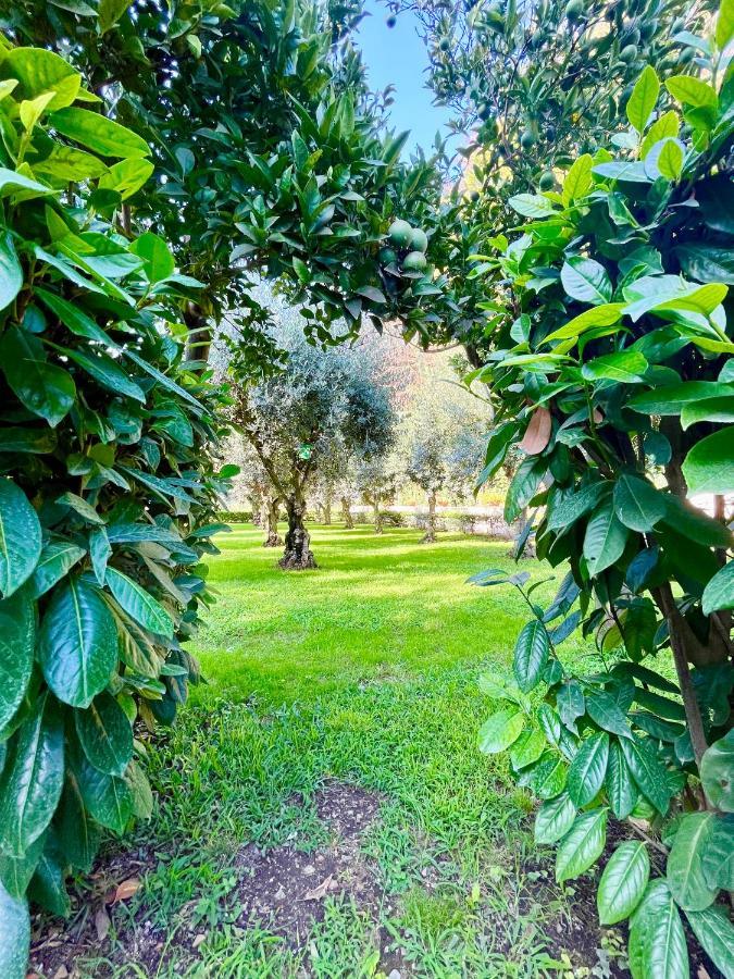 Il Giardino Di Athena
