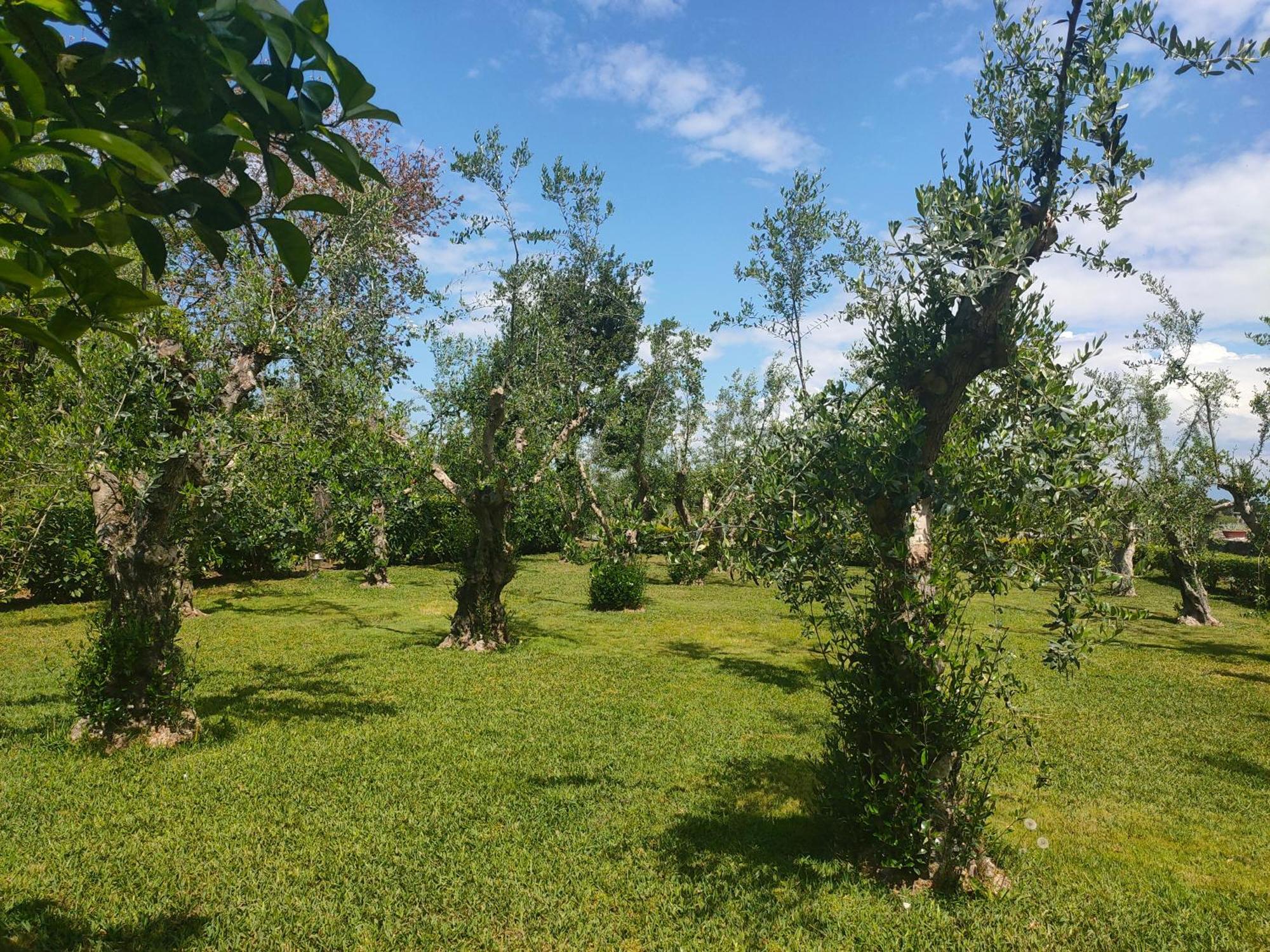 Ferienhaus Il Giardino Di Athena Paestum